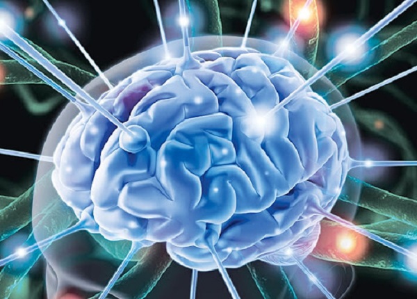 Liệu con người có thể sử dụng bao nhiêu phần trăm não bộ?