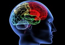 Rối loạn chức năng vỏ não có thể ảnh hưởng đáng kể đến sức khỏe