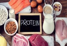Protein có vai trò quan trọng trong việc duy trì các hoạt động của cơ thể