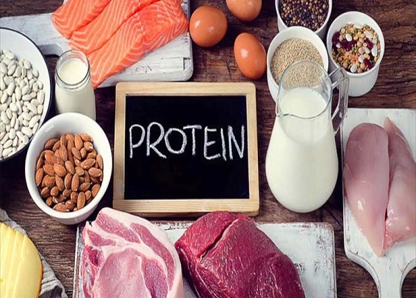 Protein có vai trò quan trọng trong việc duy trì các hoạt động của cơ thể